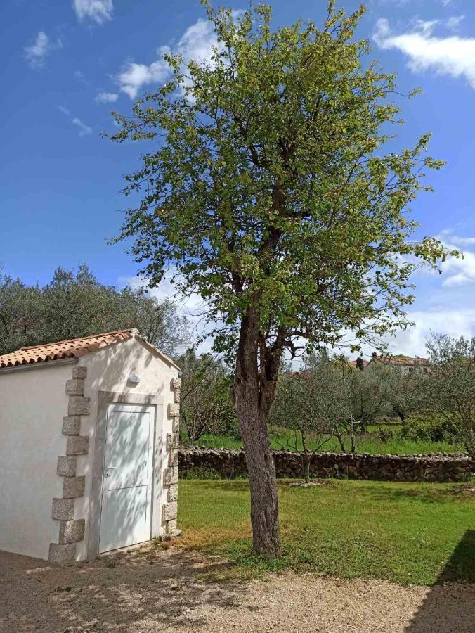 Holiday House Vela Vrta Sveti Ivan Dobrinjski Eksteriør billede