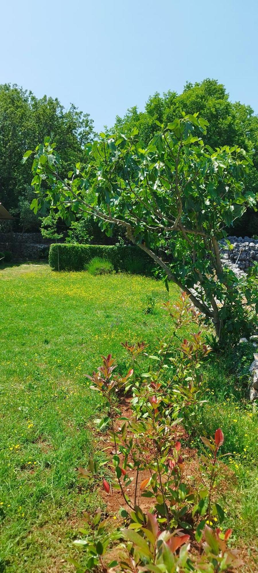 Holiday House Vela Vrta Sveti Ivan Dobrinjski Eksteriør billede